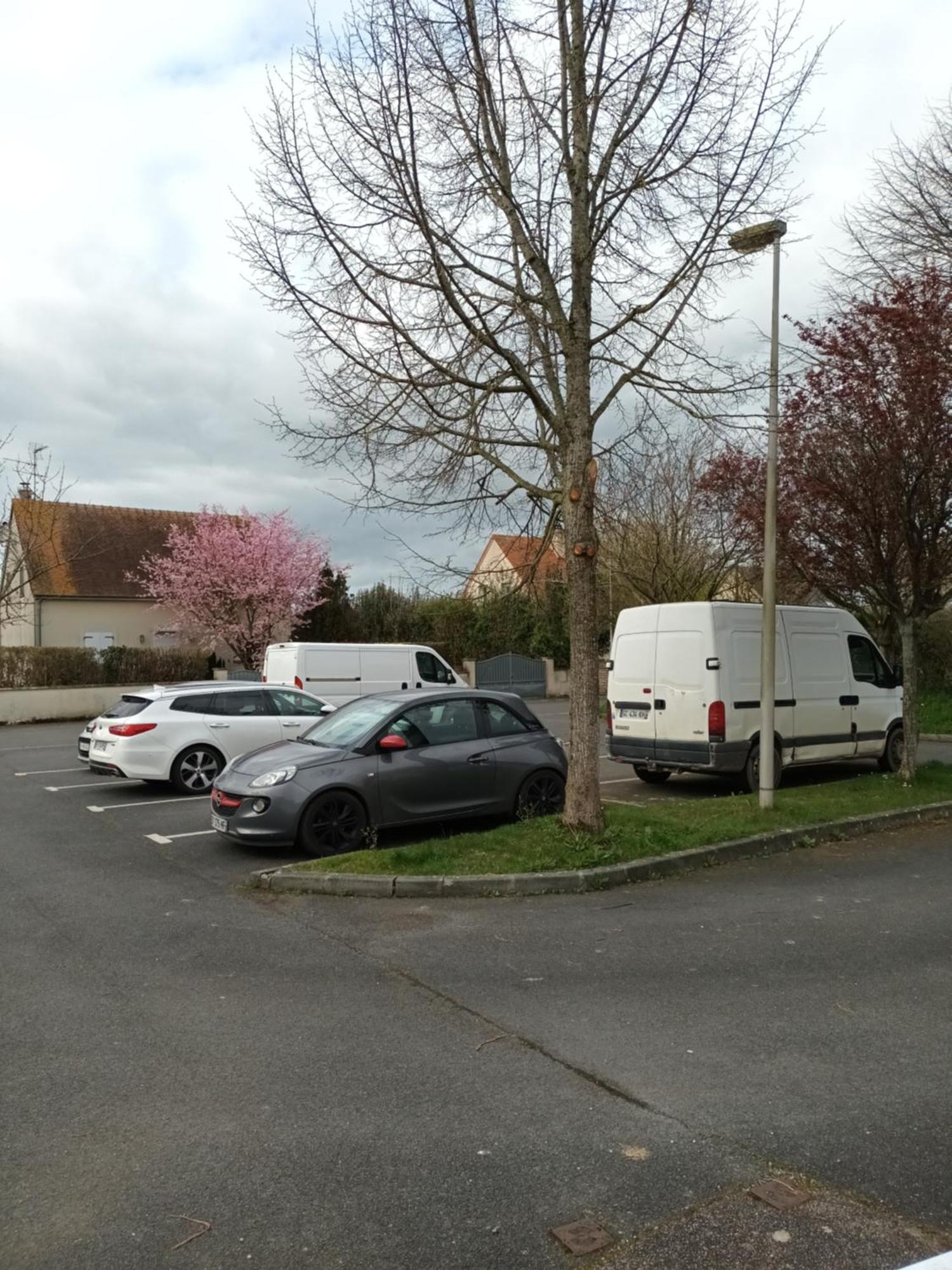 Appartement Tout Confort Le Fresne-Camilly Exterior photo